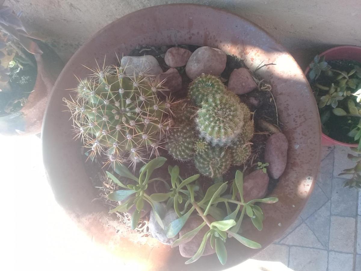 Cabana El Cardon,Casita En El Campo Quebradeno هوماهواكا المظهر الخارجي الصورة
