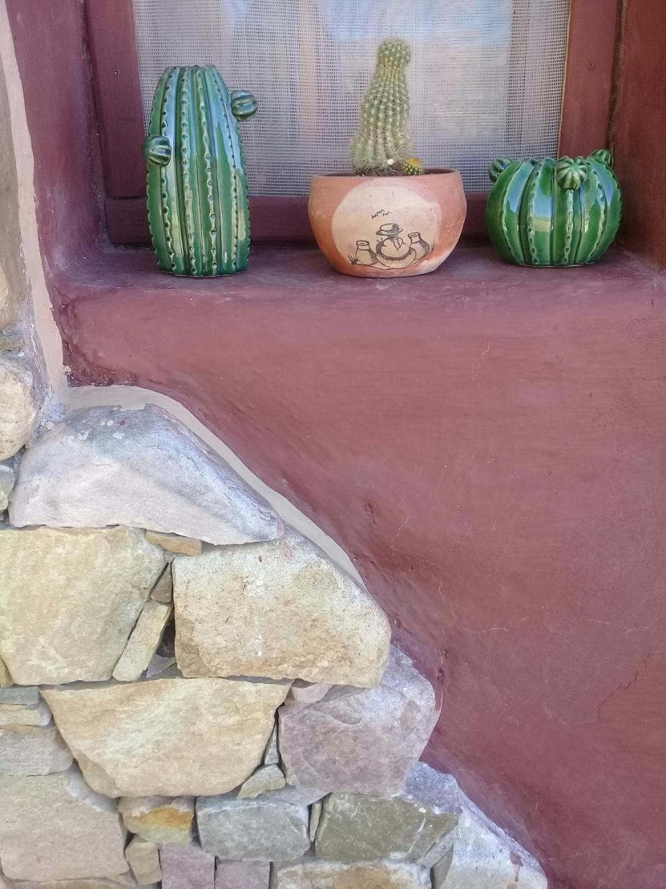 Cabana El Cardon,Casita En El Campo Quebradeno هوماهواكا المظهر الخارجي الصورة
