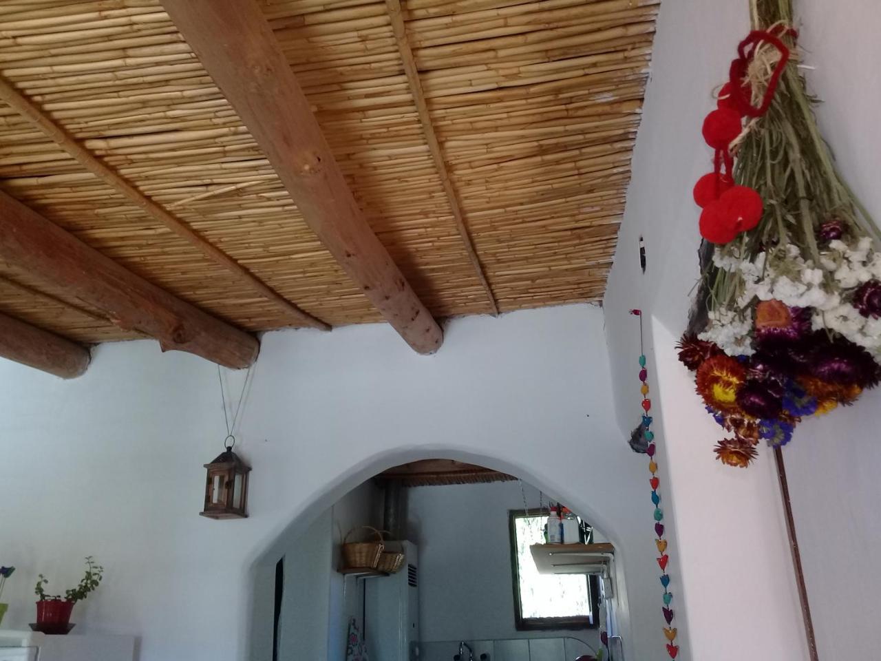 Cabana El Cardon,Casita En El Campo Quebradeno هوماهواكا المظهر الخارجي الصورة