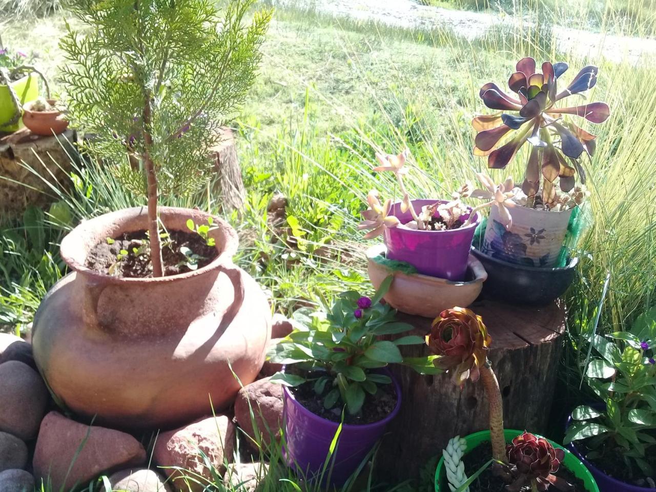 Cabana El Cardon,Casita En El Campo Quebradeno هوماهواكا المظهر الخارجي الصورة