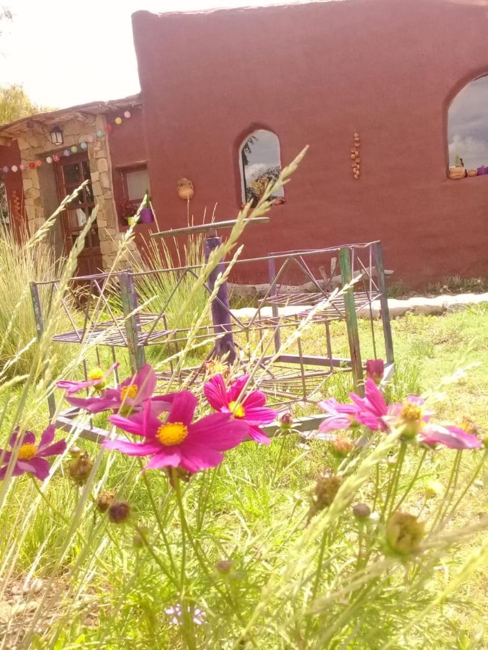 Cabana El Cardon,Casita En El Campo Quebradeno هوماهواكا المظهر الخارجي الصورة