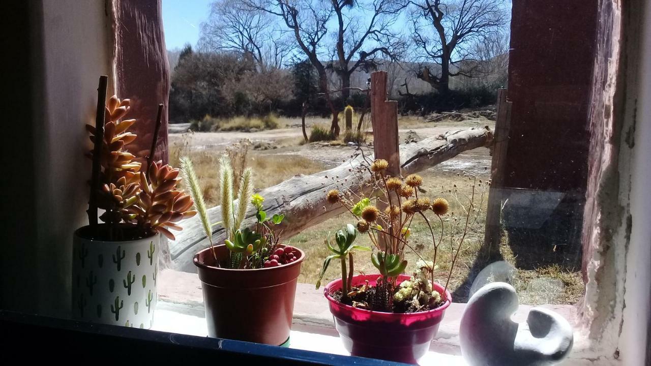 Cabana El Cardon,Casita En El Campo Quebradeno هوماهواكا المظهر الخارجي الصورة